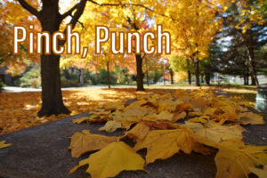 Pinch, Punch First Of The Month! 12 2020 11 01 10.06.57